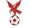 https://img.junyanoem.com/img/football/team/4802d26df935b78bb2fcdbbff36e8864.png